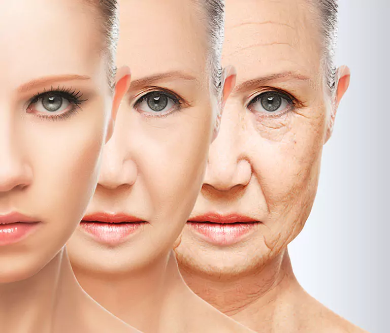 Anti Ageing